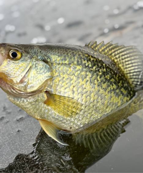 fishing