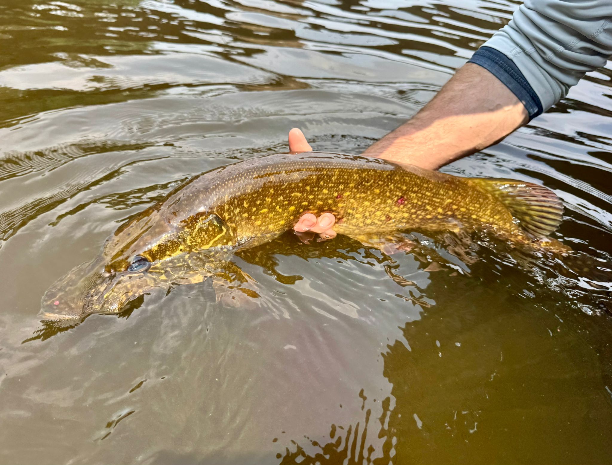 Fishing hunting