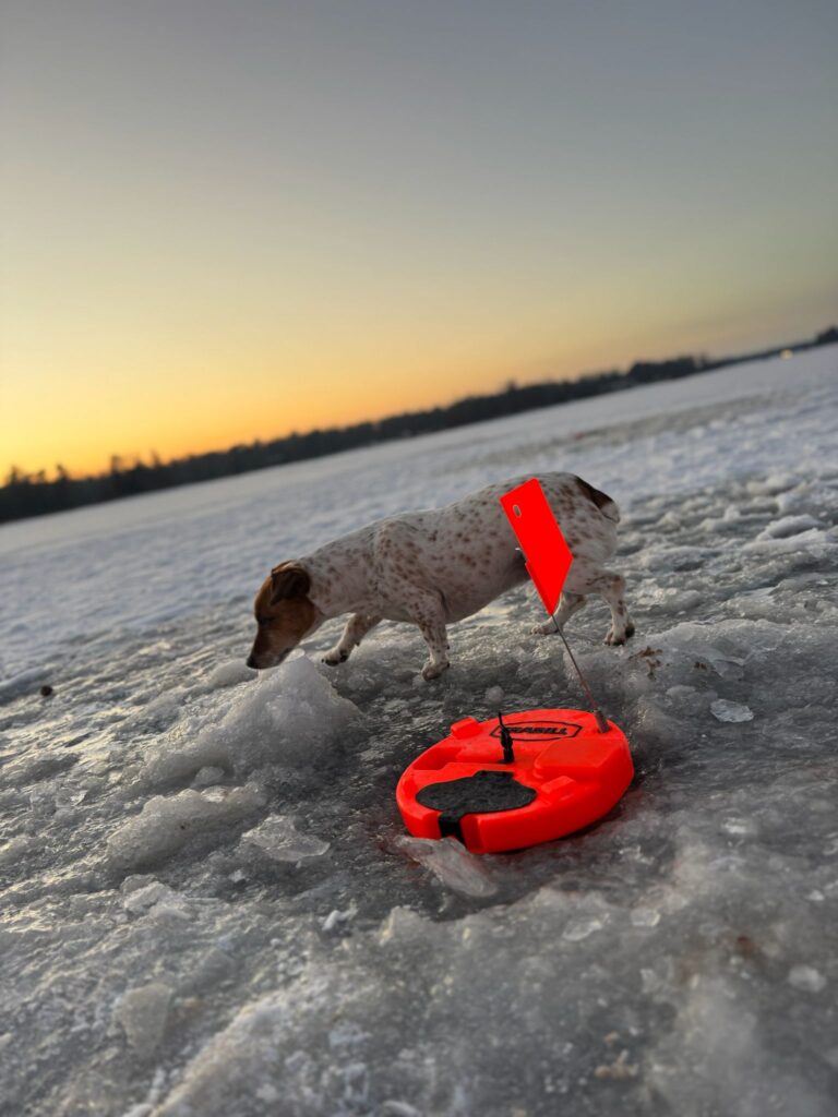 WhatsApp Image 2025 11 13 at 00.06.26 6cd94e9b 768x1024